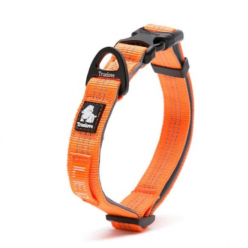 Collar para perro | ACOLCHADO NEOPRENO