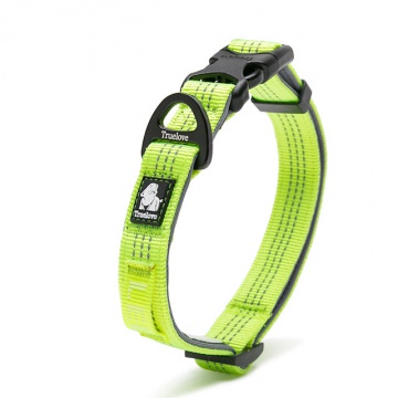 Collar FLUX | ACOLCHADO NEOPRENO