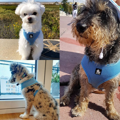 Arnés <b>SOFT</b> Arnés <b>SOFT</b>