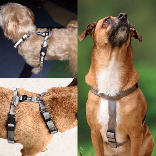 Arnés <b>ATHLETIC</b>