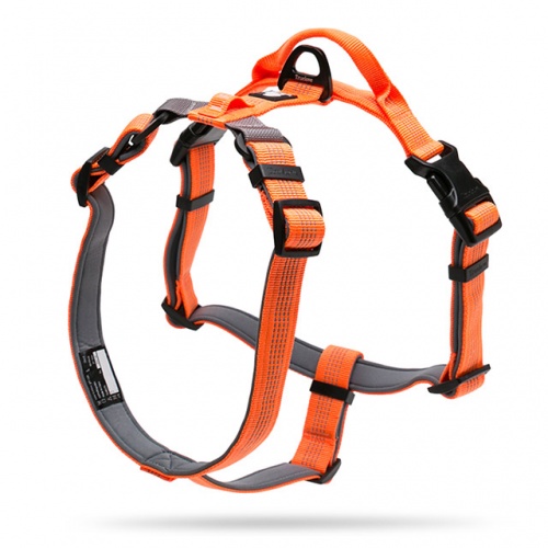 Arnés ATHLETIC | ACOLCHADO NEOPRENO