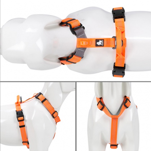 arnes-naranja-truelove-03_879954291